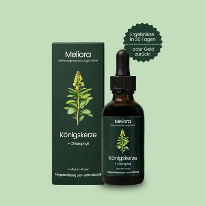 Meliora - Königskerzen-Extrakt + Chlorophyll