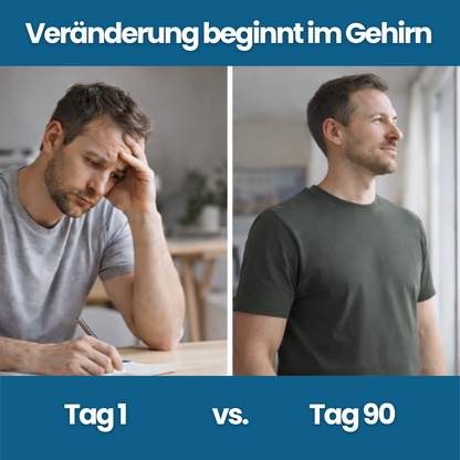 Meliora - AktivFolat+