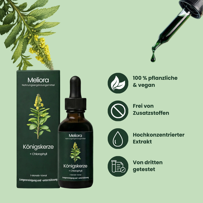 Meliora - Königskerzen-Extrakt + Chlorophyll