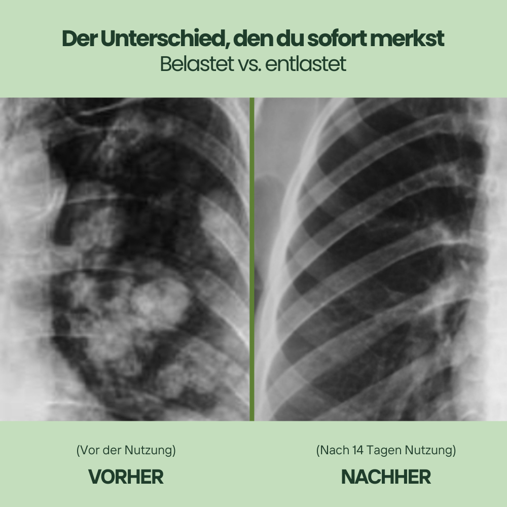 Meliora - Königskerzen-Extrakt + Chlorophyll