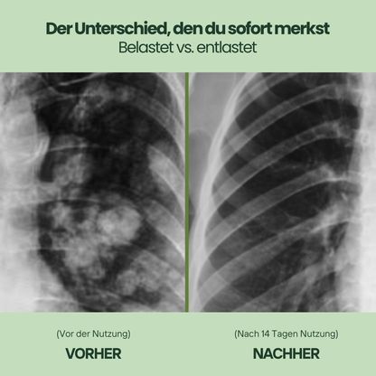 Meliora - Königskerzen-Extrakt + Chlorophyll