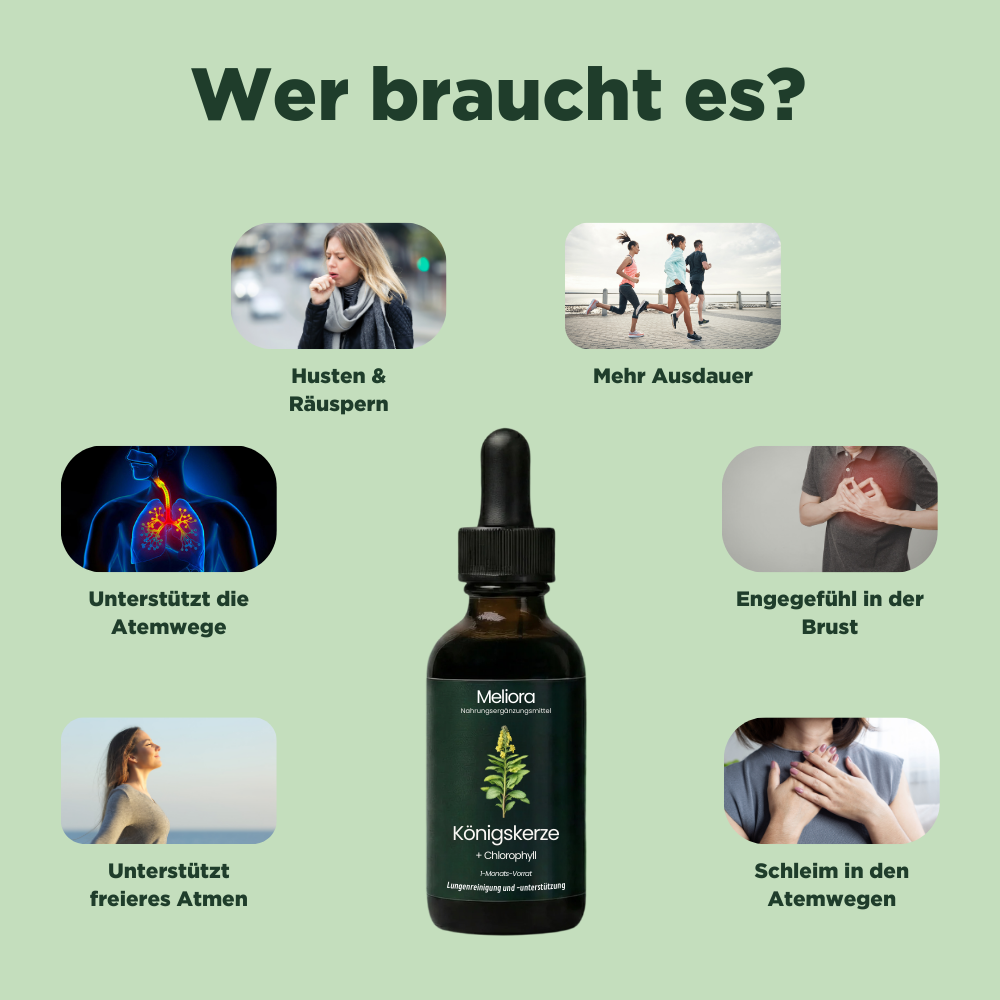Meliora - Königskerzen-Extrakt + Chlorophyll