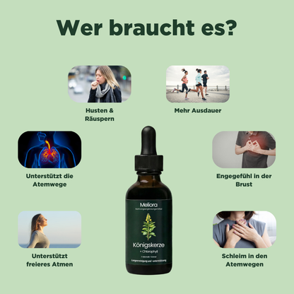 Meliora - Königskerzen-Extrakt + Chlorophyll